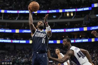 智商的巅峰 智商的巅峰